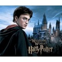 Harry Potter - Derivative Produkte